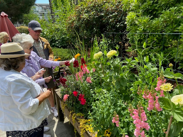 A picture of a garden with flowers and some people looking at the flowers
